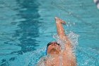 Swimming & Diving vs Babson  Swimming & Diving vs Babson College. - Photo by Keith Nordstrom : Wheaton, Swimming